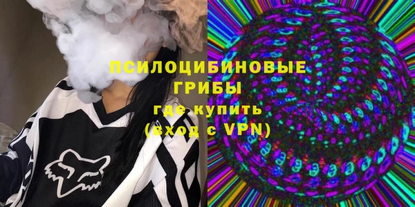 сатива Алексеевка