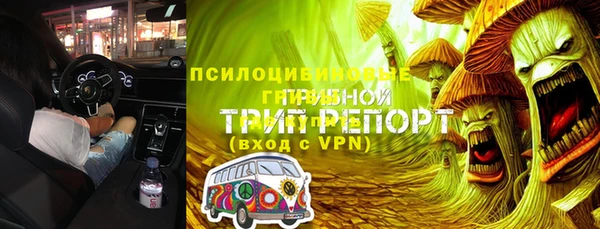 сатива Алексеевка