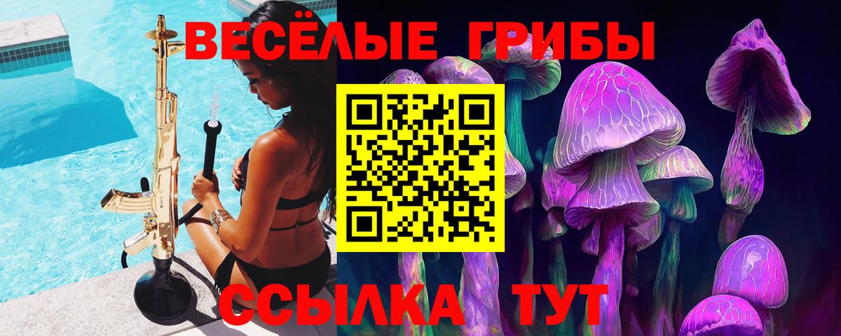 Глазов  Псилоцибиновые грибы мицелий  Вход с VPN 